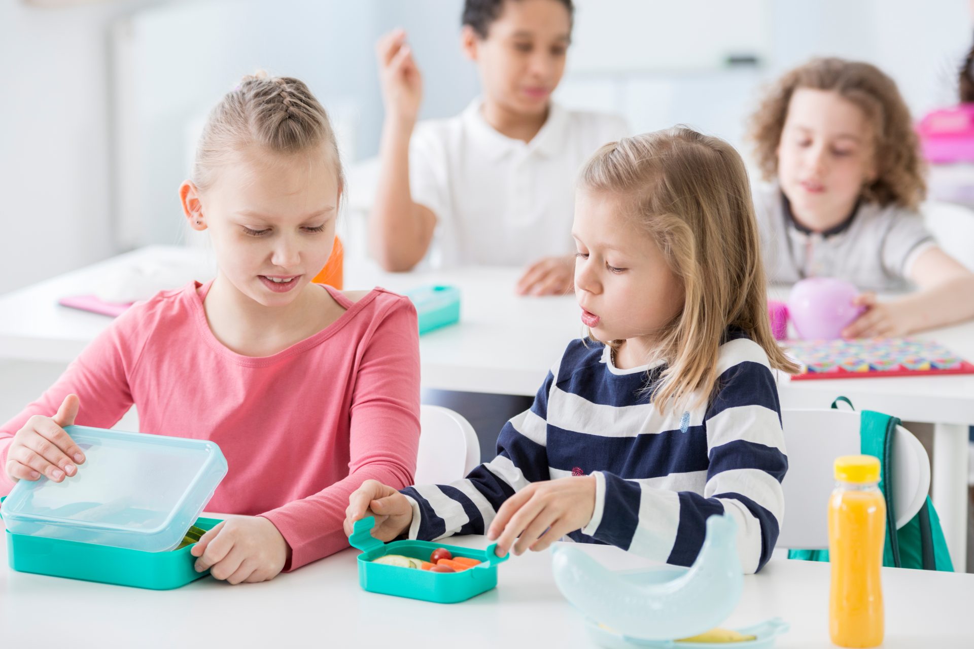 Les essentiels dune boîte à lunch écolo pour la rentrée scolaire L