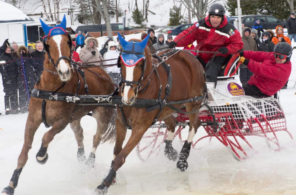 Festi-Neige implore Dame nature pour qu’il fasse froid