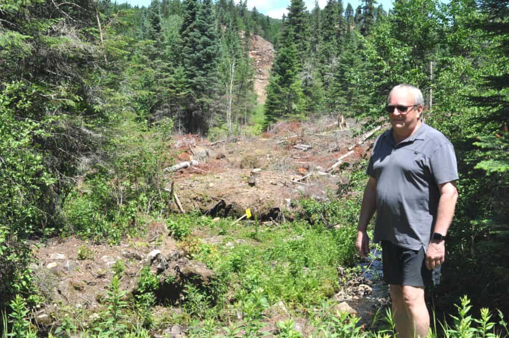Georges Bégin nous montre le ruisseau (en bas à droite) qui longe la zone de déboisement. - Photo Information du Nord - Daniel Deslauriers
