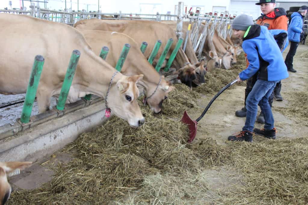 Deux classes de l’école Fleur-des-Neiges à la ferme