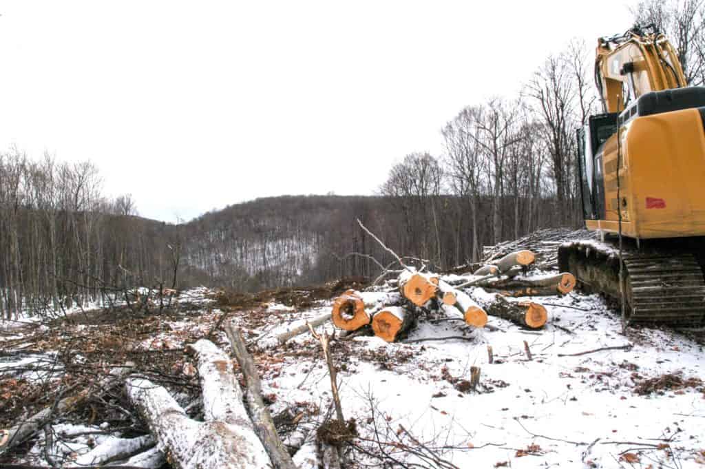 Les maires des Pays-d’en-Haut demandent la suspension des travaux de déboisement