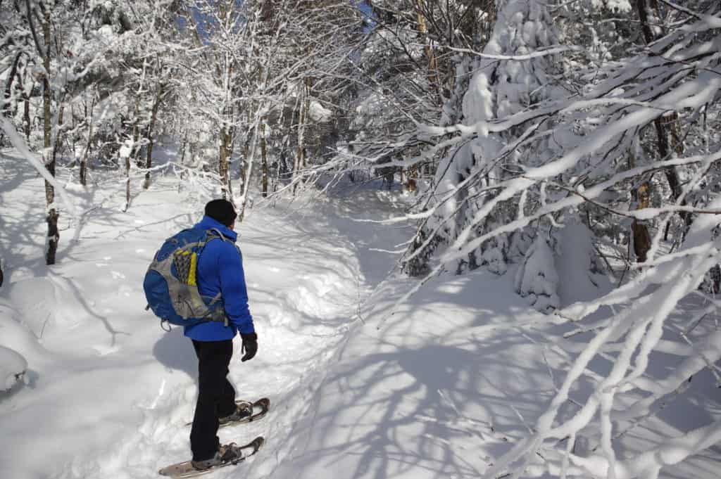 Deux nouvelles cartes qui permettront aux randonneurs de découvrir la diversité des sentiers à Saint-Donat. - Photo Information du Nord - Archives