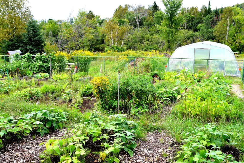 Le jardin collectif de Val-Morin demande l’aide du public