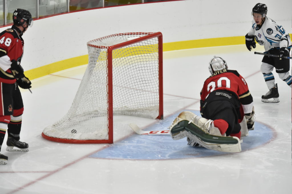 Les Panthères ont encore le meilleur sur les Ours 8-5