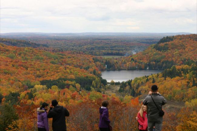 Peintres, à vos pinceaux, c’est l’automne!