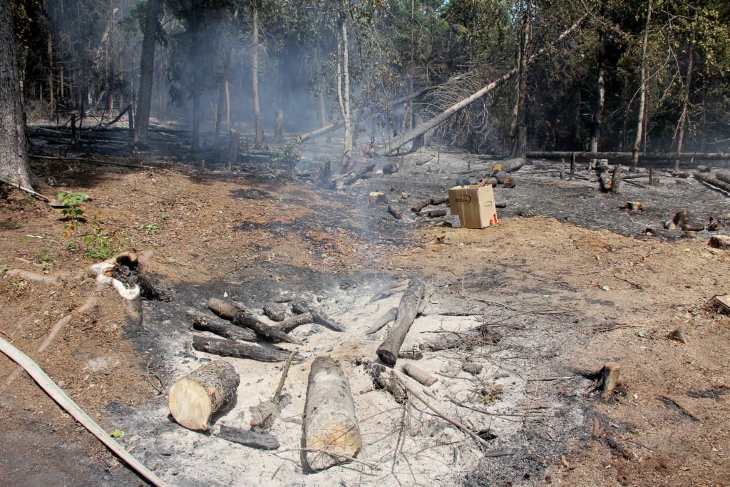 Les pompiers étouffent un feu de forêt à Sainte-Agathe