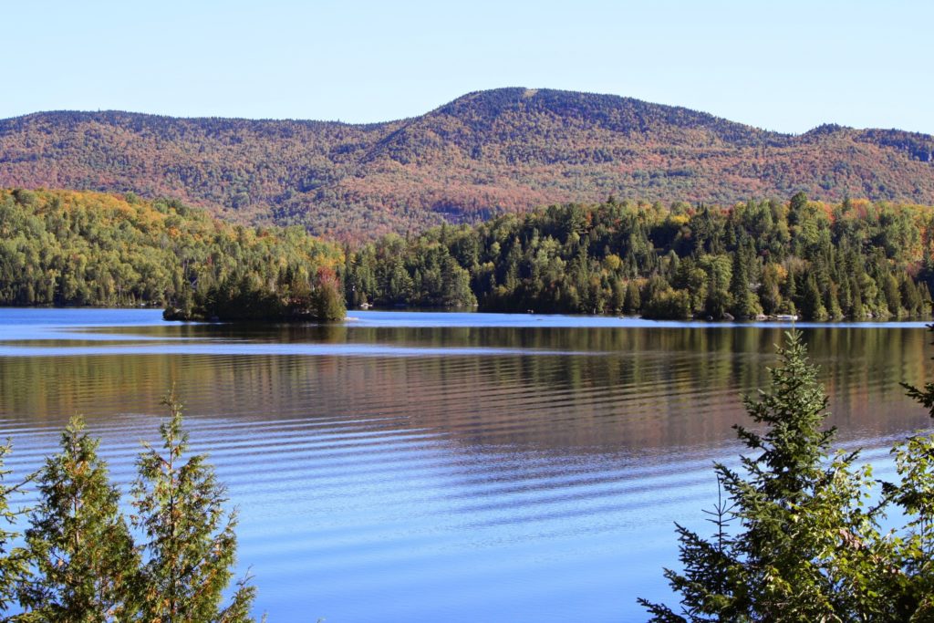 Nouvelle levée de boucliers pour sauver le Mont-Kaaikop