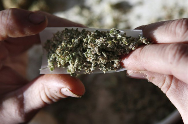 Deux Val-Davidois arrêtés pour production de cannabis