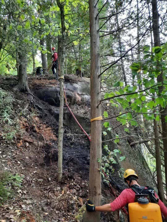 Un incendie maîtrisé à temps au Parc régional Val-David Val-Morin