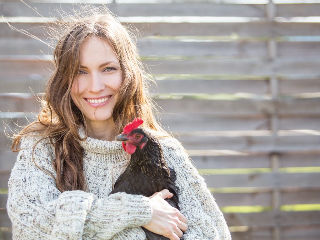 Ce qu’il faut savoir avant d’adopter des poules de compagnie