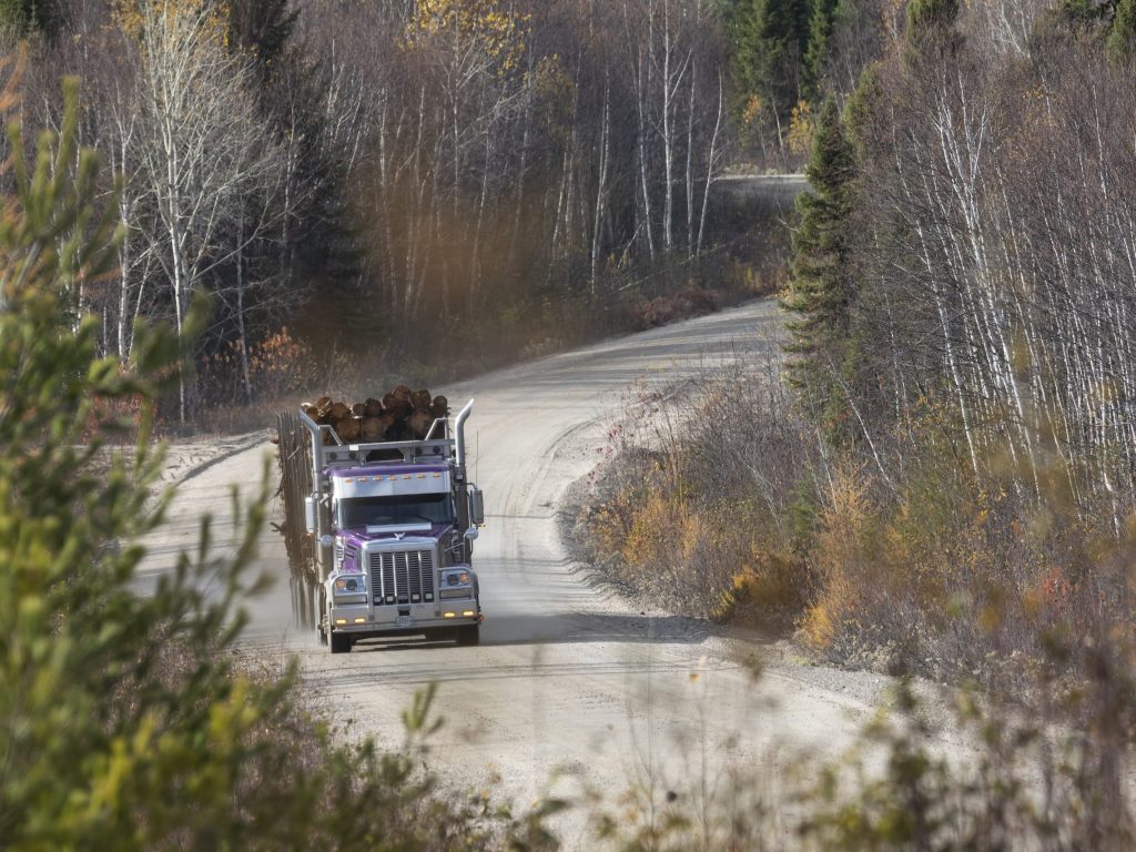 Appel à la prudence sur les chemins forestiers