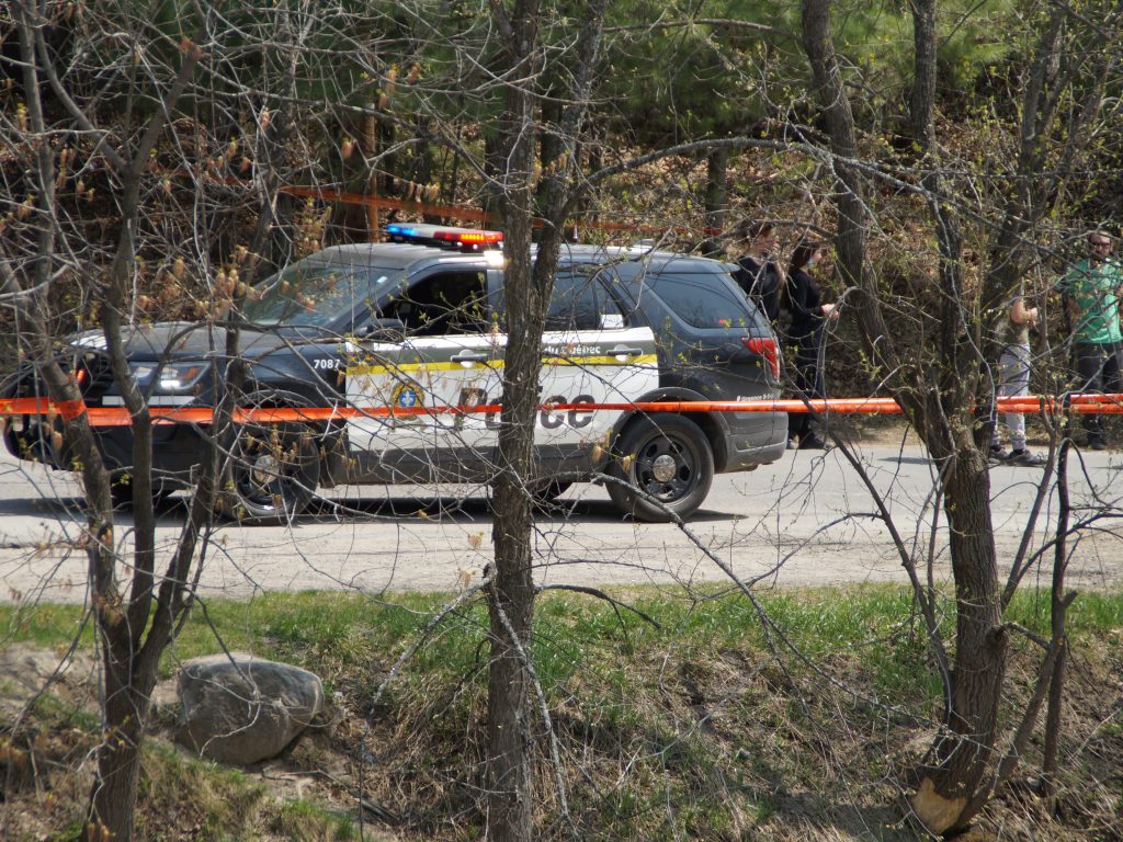 Chute dans la rivière: une élève portée disparue