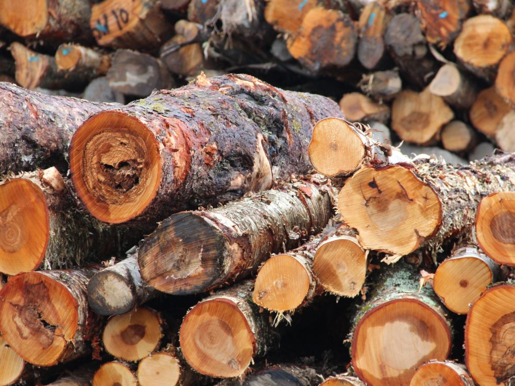 12 projets retenus dans les Laurentides