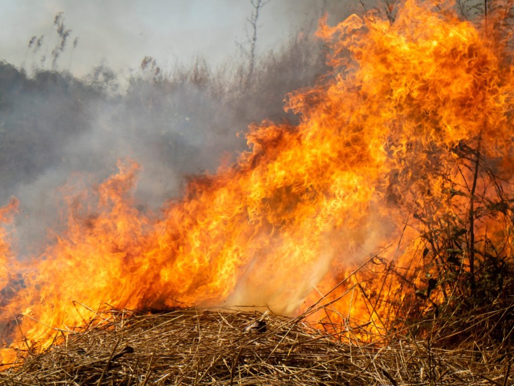 Le risque de feux de forêt est plus important au printemps