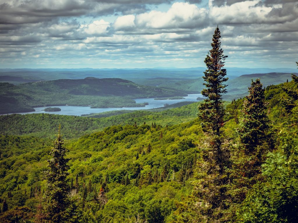 Lac-Tremblant-Nord a pour objectif de protéger 69% de son territoire