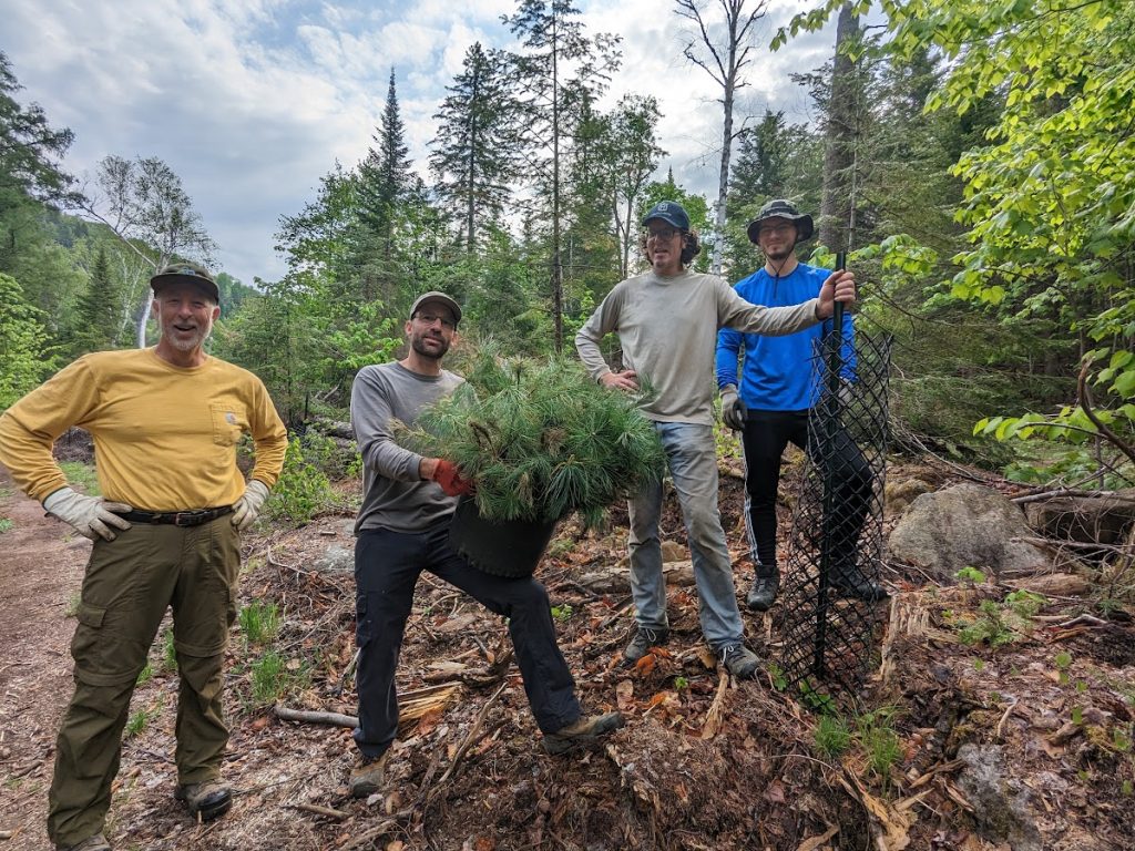 Planter des arbres à Val-David pour restaurer la forêt après le derecho