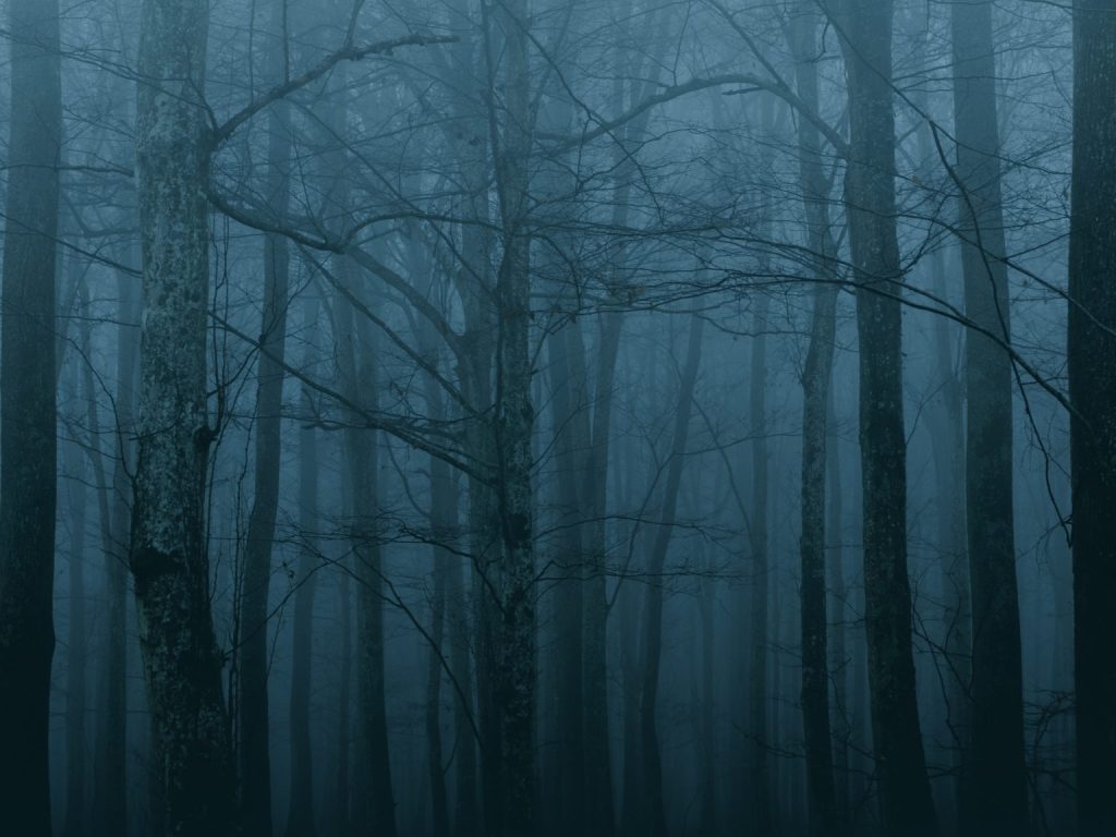 Une forêt hantée pour Halloween à Val-Morin