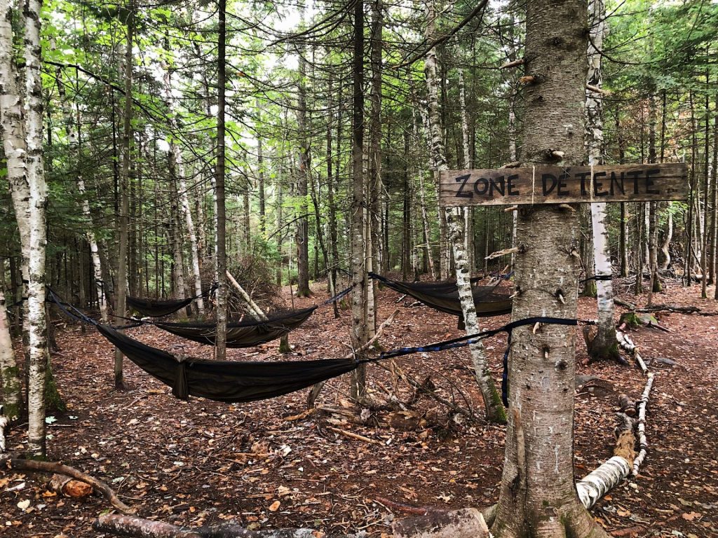 plusieurs hamacs suspendus dans la forêt