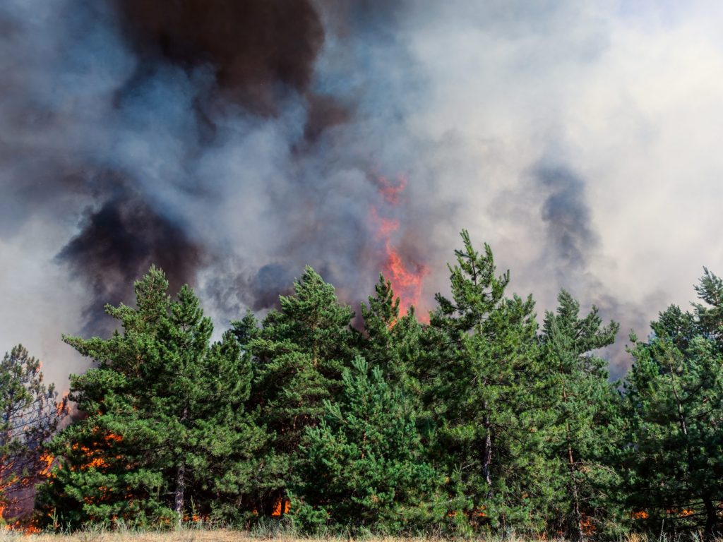 Deux fois moins d’incendies que d’habitude en mai