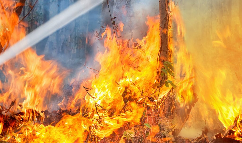 Des pompiers forestiers des Laurentides combattent des feux en Alberta