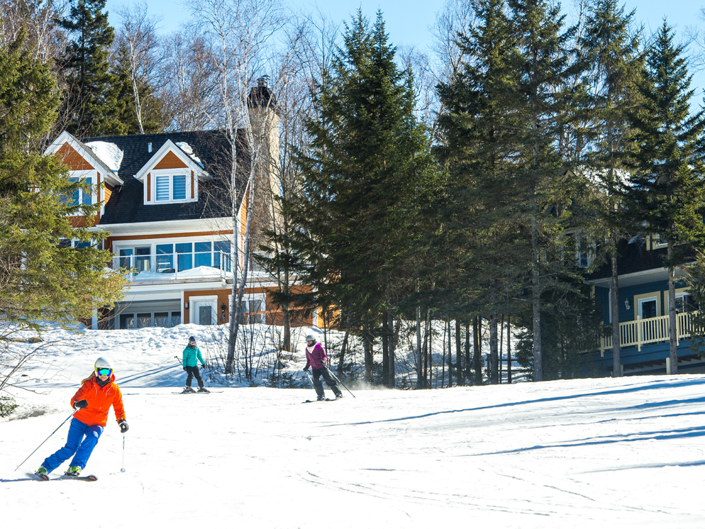 Stations de ski, in ou out?