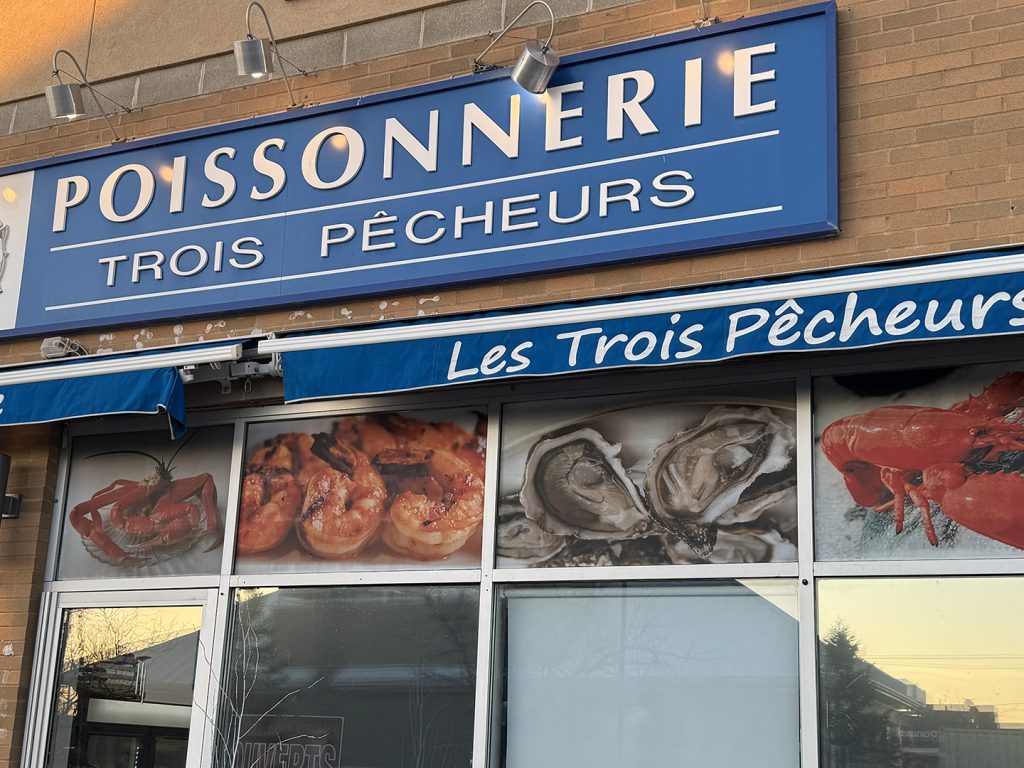 Coups de cœur de l’équipe